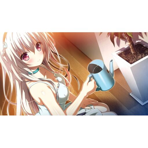 Trinoline [Limited Edition] - Switch (Japon) - 3