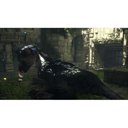 The Last Guardian - Ps4 (Us) - 2