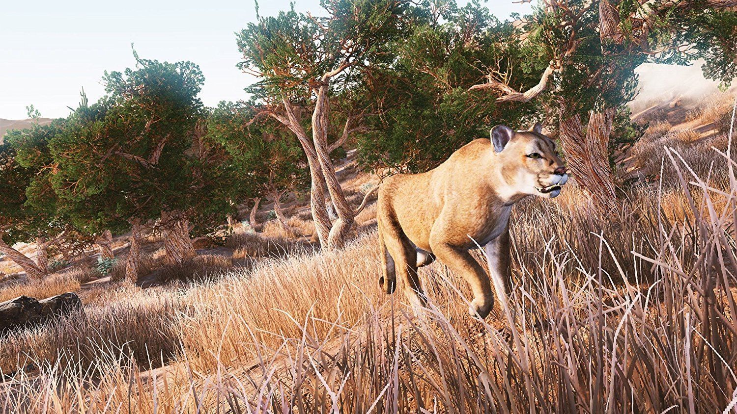Hunting Simulator - Switch (Us) - 6