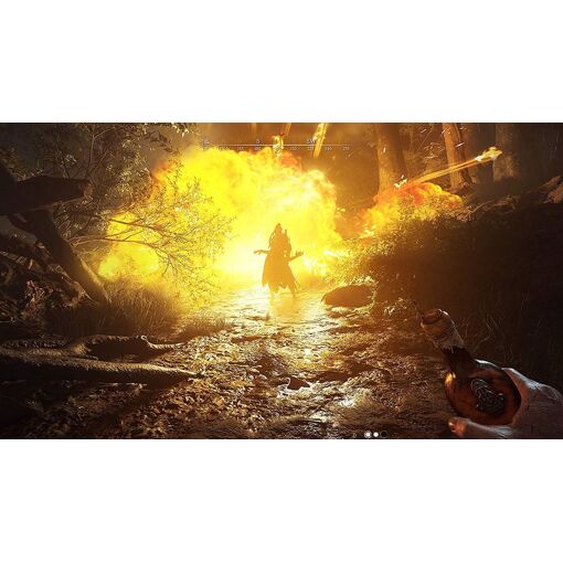 Hunt: Showdown [Limited Bounty Hunter Edition] - Ps4 - 2