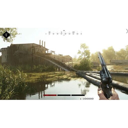 Hunt: Showdown [Limited Bounty Hunter Edition] - Ps4 - 6