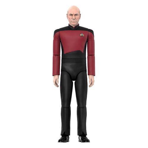 Star Trek: The Next Generation Figurine Ultimates Captain Picard 18 C