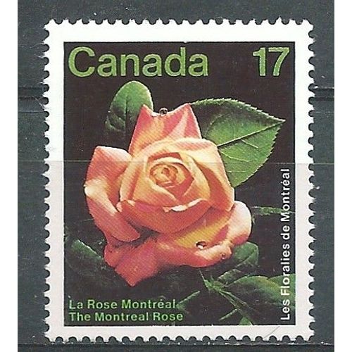 Timbre Canada La Rose De Montréal 1981 N° 773 Neuf**