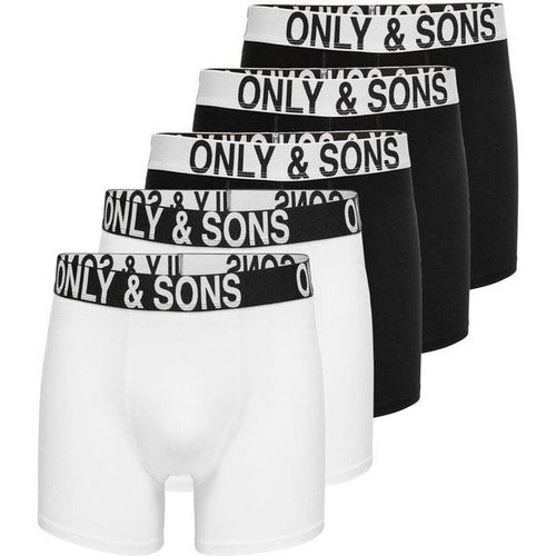 Boxers Fitz (X5)