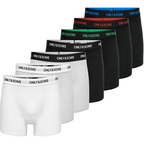 Boxers Fitz (X7)