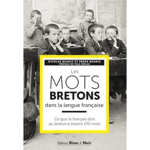 Les Mots Bretons Dans La Langue Française - Ce Que Le Français Doit Au Breton À Tranvers 170 Mots