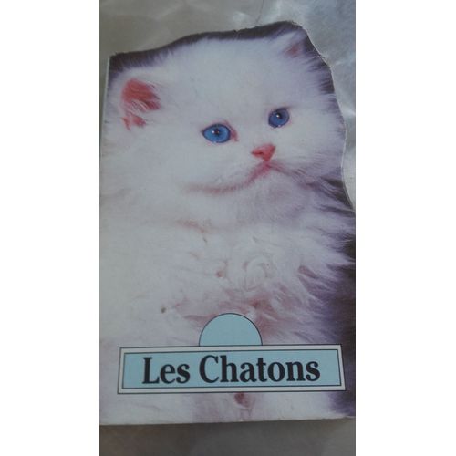 Les Chatons