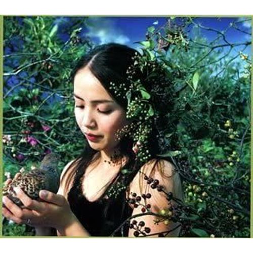 Hanadairo (Limited First Edition) (With Dvd) [Import Japonais]
