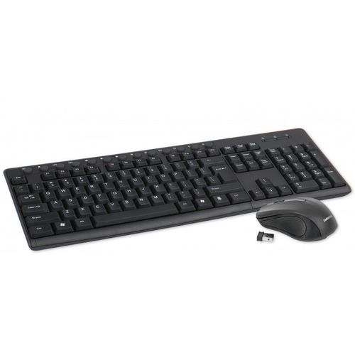 OMEGA OKM071B - Ensemble clavier et souris - sans fil - 2.4 GHz - QWERTY - US - noir