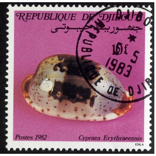 Timbre Cypraea Erythraeensis.République De Djibouti.Postes.1982.