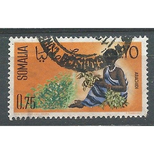 Timbre Oblitéré Somalie Femme Ramassant L'arachide 1961 N° 15