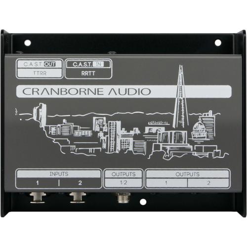 Cranborne Audio N22 snake