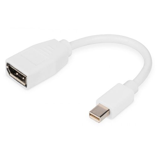 Digitus Câble Adaptateur Displayport?, Mini Dp - Dp
