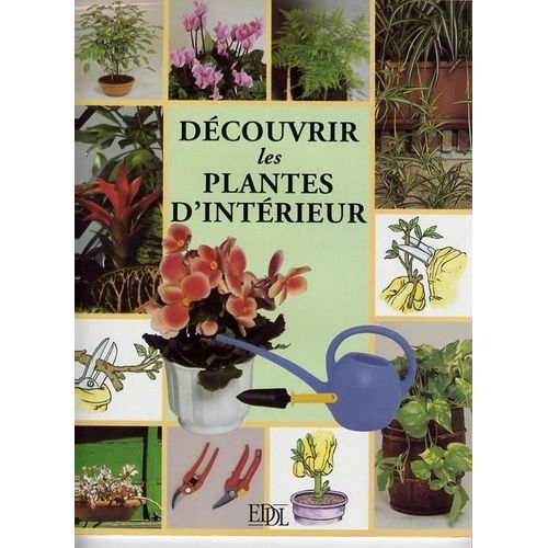 Découvrir Les Plantes D'intérieur