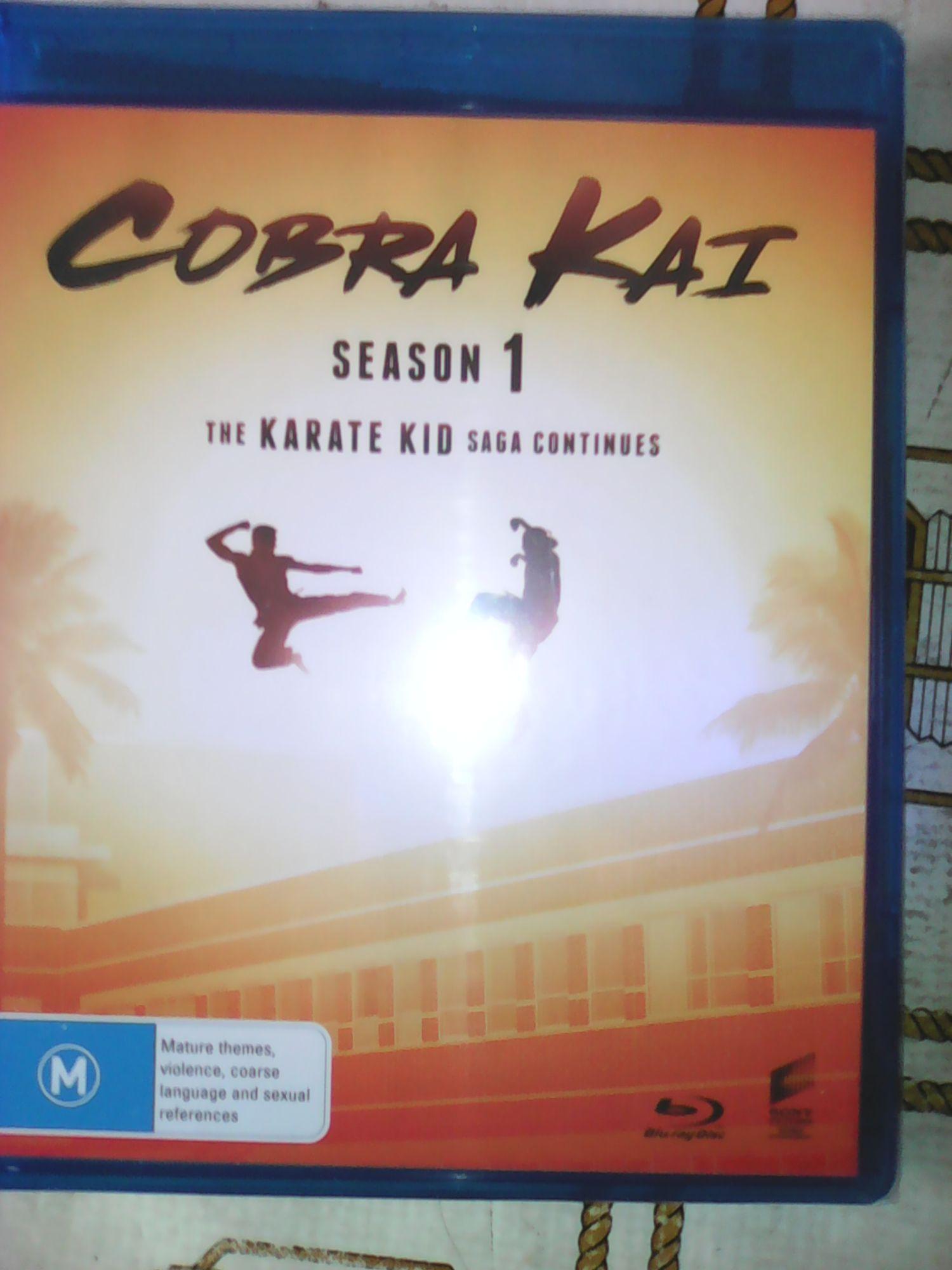 Cobra Kai Season 1 & 2 (dvd) : Target