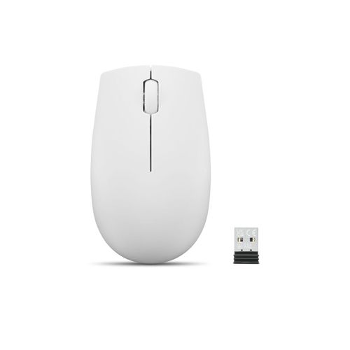 Lenovo 300 Wireless Mouse?grey Souris Ambidextre Rf Sans Fil Optique