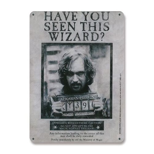 Harry Potter Panneau Métal Have You Seen This Wizard 15 X 21 Cm
