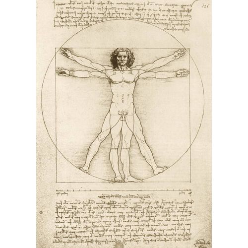 Leonardo Da Vinci - The Vitruvian Man, 1490 - Puzzle 1000 Pièces