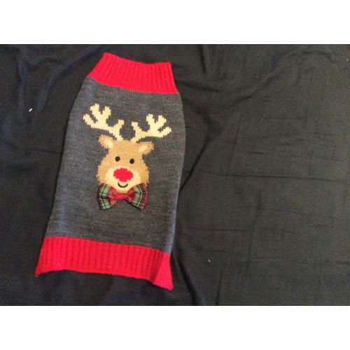 Pull Chien Noel Xs