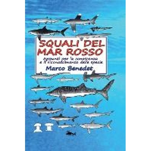 Squali Del Mar Rosso