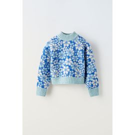 Pull En Maille Jacquard À Fleurs (Zara)