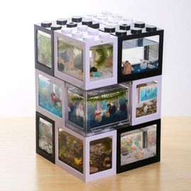 Blocs De Construction Créatifs Multicolores 9 Couleurs Multicolore Réservoir Écologique Poisson Araignée Fourmi Petit Mini Reptile Pour Animaux De Compagnie Maison Bureau