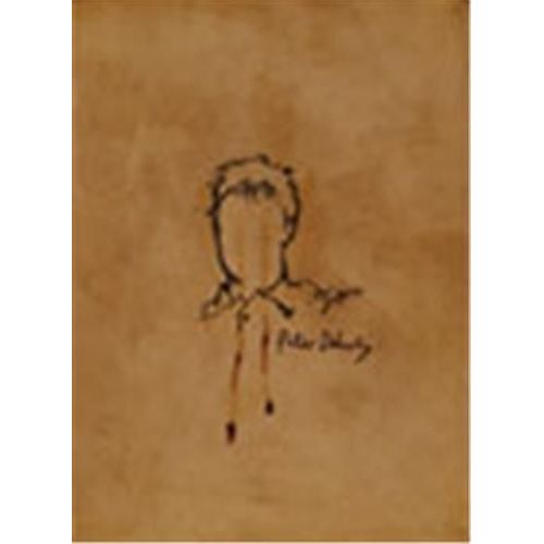 The Books Of Albion: The Collected Writings Of Peter Doherty