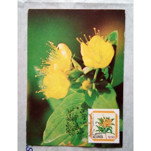 Portugal Açores 1983 Carte 1er Jour Avec Un Timbre Fleur