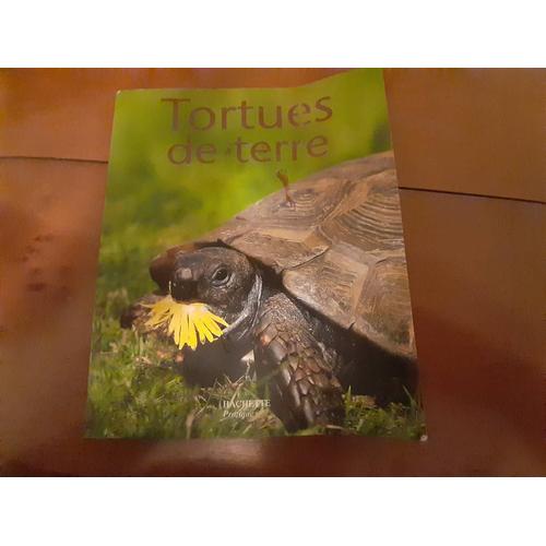 Tortue De Terre Hachette