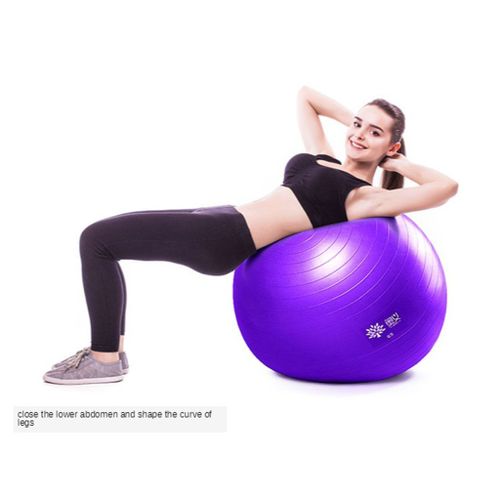 Balle De Yoga Balance Gymnastique Pilates Balle Exercice Fitness Force 65cm Violet