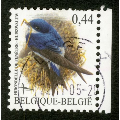 Timbre Oblitéré Belgique - België, Hirondelle De Fenêtre - Huiszwaluw, 0.44