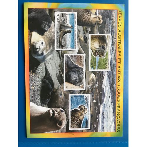 Bloc Feuillet Les Éléphants De Mer Yvert Et Tellier Bf 19- Année 2008- Terres Australes Et Antarctiques Françaises - Gomme Intacte