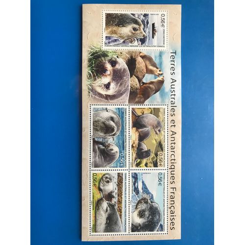 Bloc Feuillet Numéro Yvert Et Tellier Bf 23 5 Timbres Otaries D Amsterdam - Terres Australes Et Antarctiques Françaises - Gomme Intacte