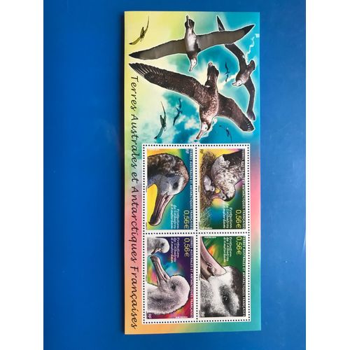 Bloc Feuillet 4 Timbres Yvert Et Tellier Bf 24- Protection De L Albatros D Amsterdam - Terres Australes Et Antarctiques Françaises - Année 2010- Gomme Intacte