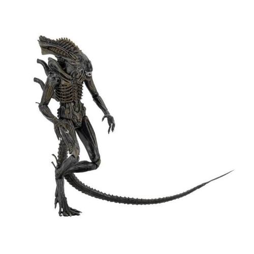 neca defiance xenomorph