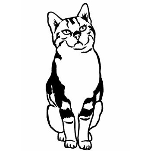 Sticker Autocollant Chat