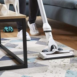 rowenta air force 360 max rh9021wo