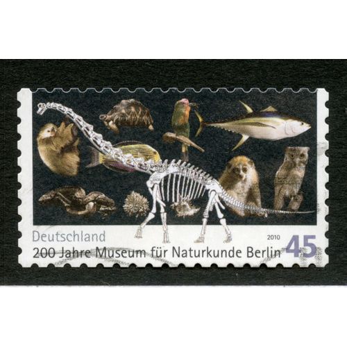 Timbre Oblitéré Deutschland, 200 Jahre Museum Für Naturkunde Berlin, 2010, 45