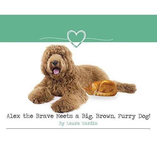Alex The Brave Meets A Big, Brown, Furry Dog!