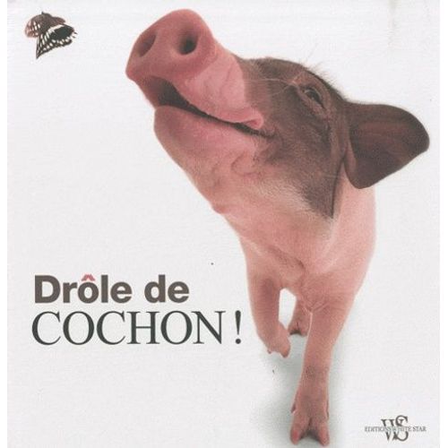 Drôle De Cochon !