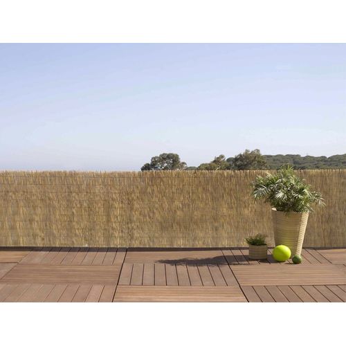 Paillon De Roseaux Entiers Reedcane - 1,50 X 5 M