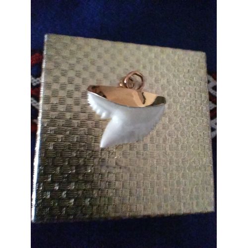 Dent De Requin-Tigre Montée Sur Pendentif