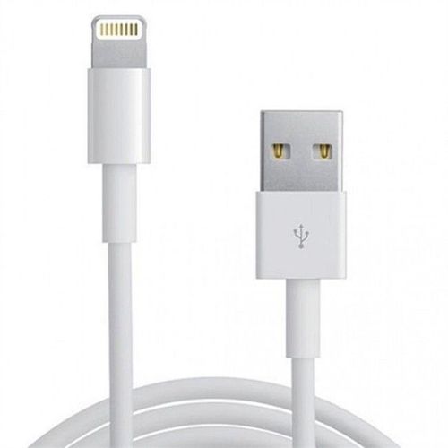 Câble lightning Apple 2m