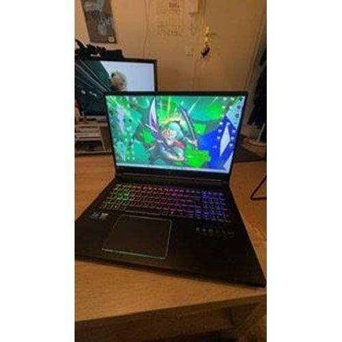 Acer Predator Hélios 300 - 17.3" Intel Core i7 - Ram 16 Go - SSD 1 To