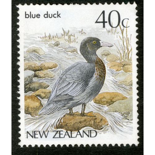 Timbre New Zealand, Blue Duck, 40c