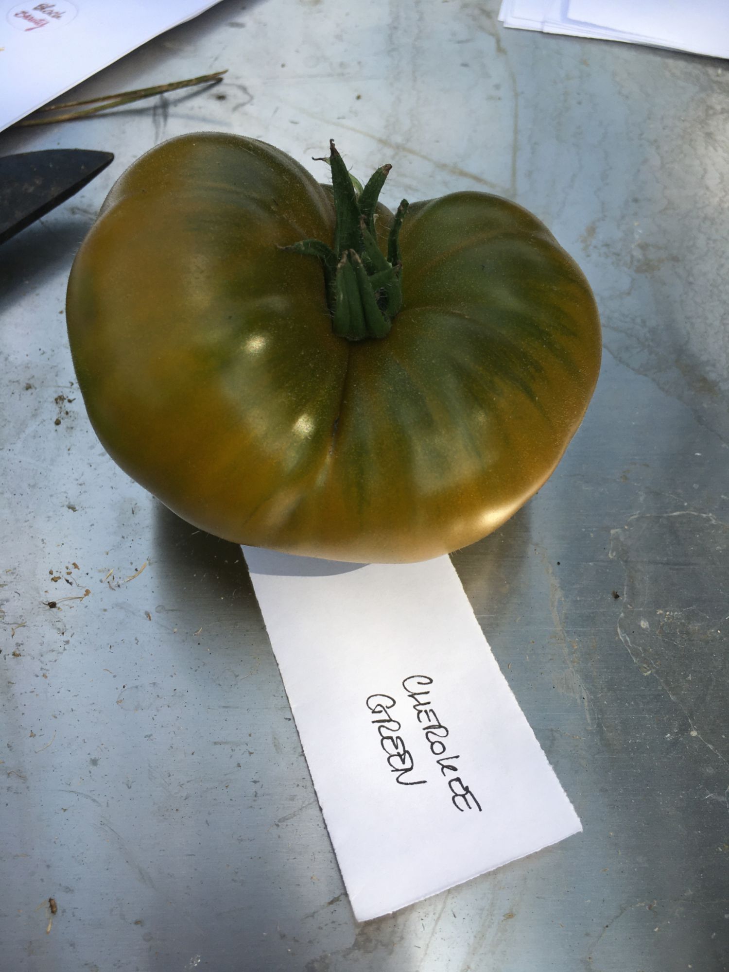 Tomate Verte "Cherokee Green" - 15 Graines