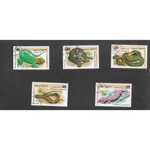 Reptiles
