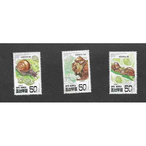 Escargots, Gastéropodes