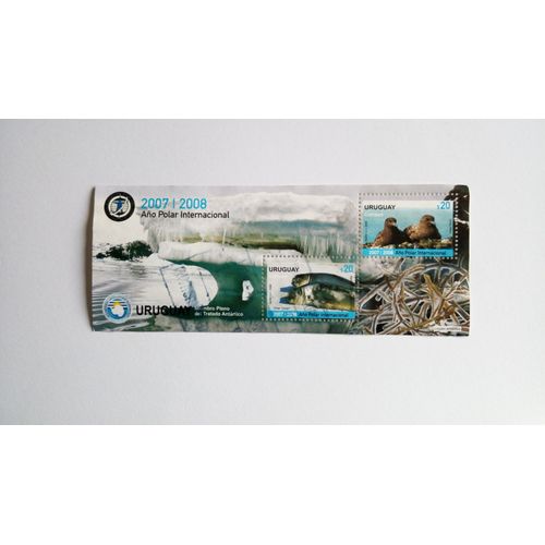 Uruguay 2008 Mini Feuillet Avec 2 Timbres Oblitéré Année Polaire Internationale