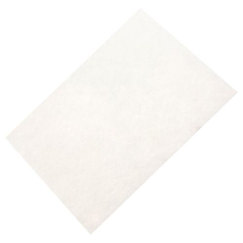Filtre moteur - Aspirateur (432200493931 PHILIPS)